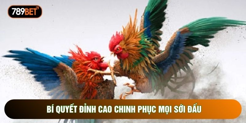 Bí quyết đỉnh cao chinh phục mọi sới đấu Bí quyết đỉnh cao chinh phục mọi sới đấu
